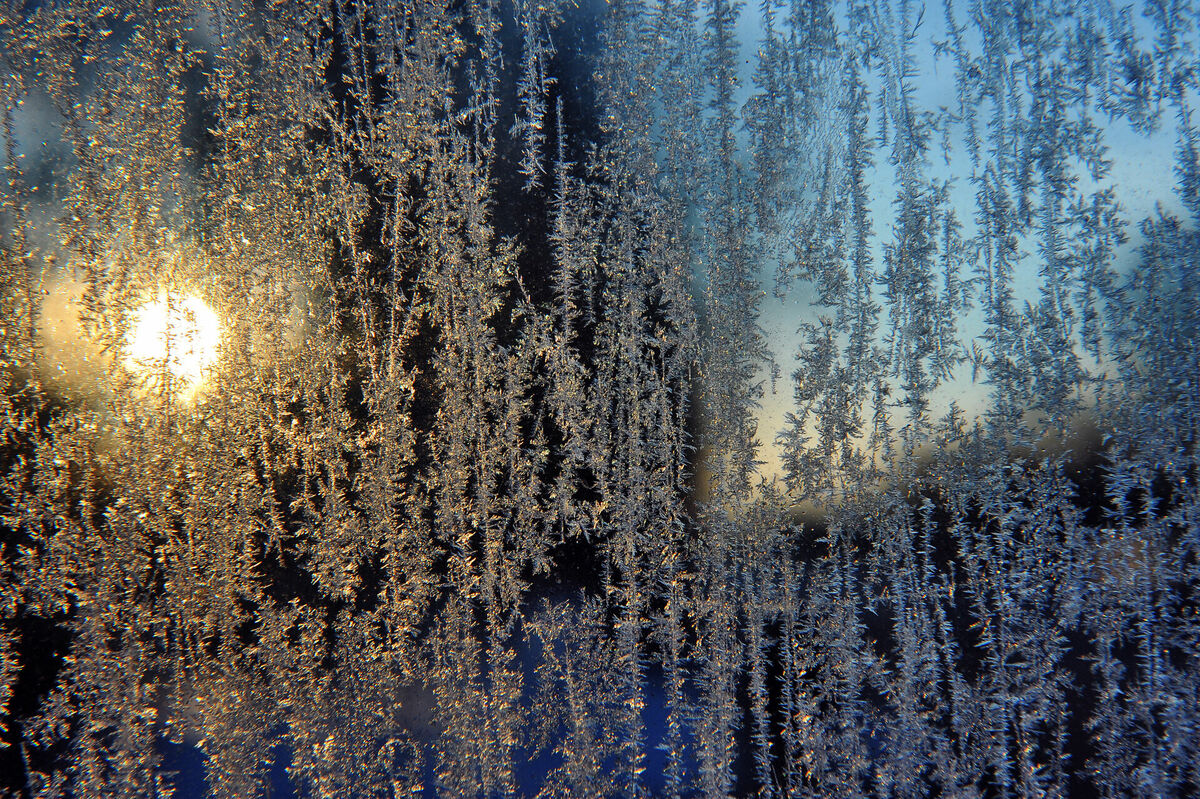 Foto: Edijs Pālens/LETA