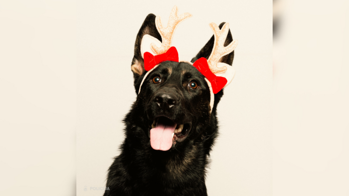 Foto: Valsts policija