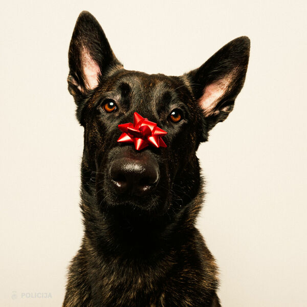 Foto: Valsts policija