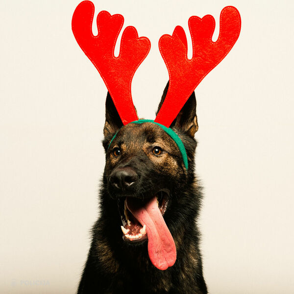 Foto: Valsts policija