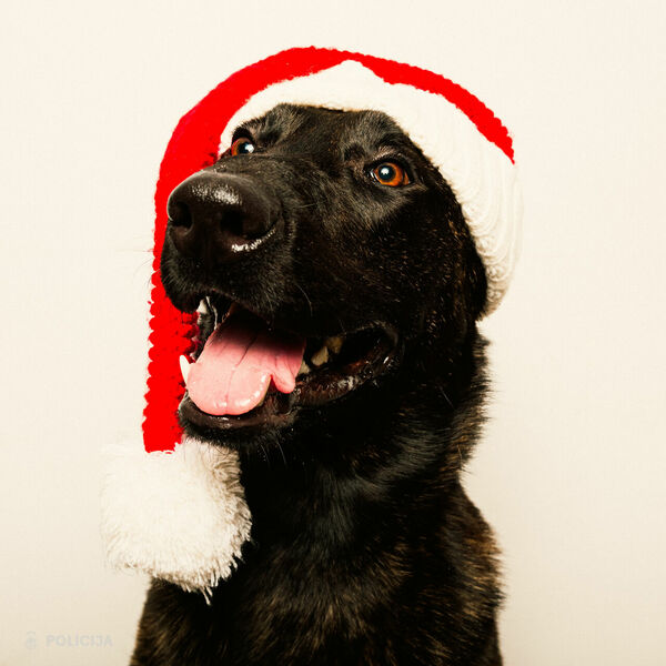 Foto: Valsts policija