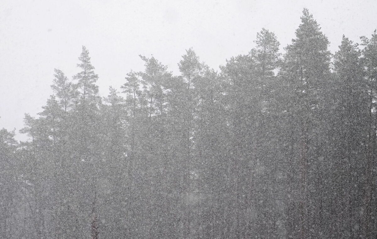 Foto: Zane Bitere/LETA