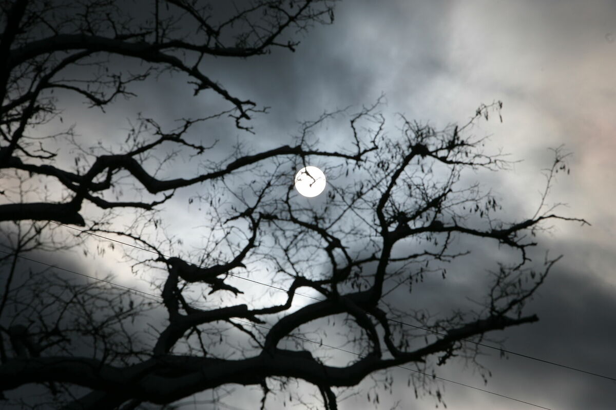 Foto: Agnese Gulbe/LETA