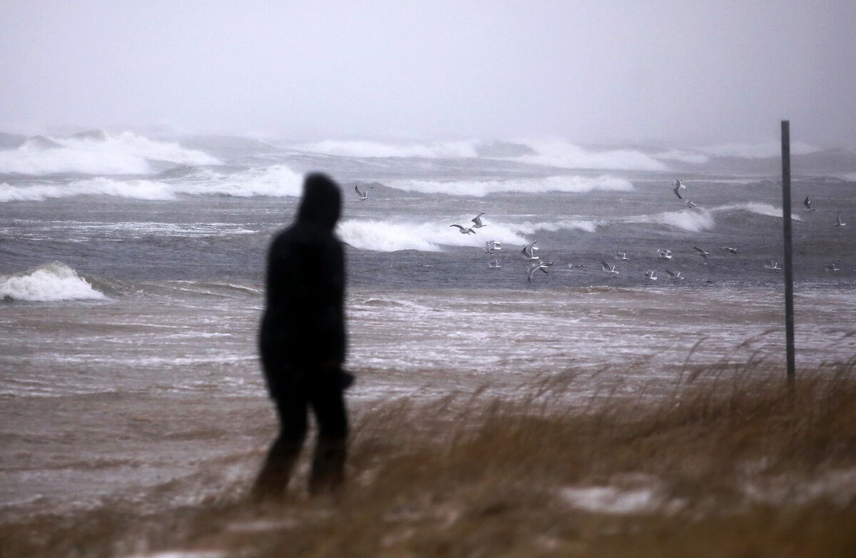 Foto: Paula Čurkste/LETA