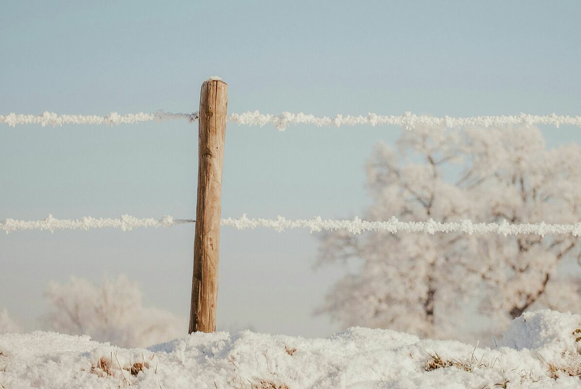 Foto: Unsplash