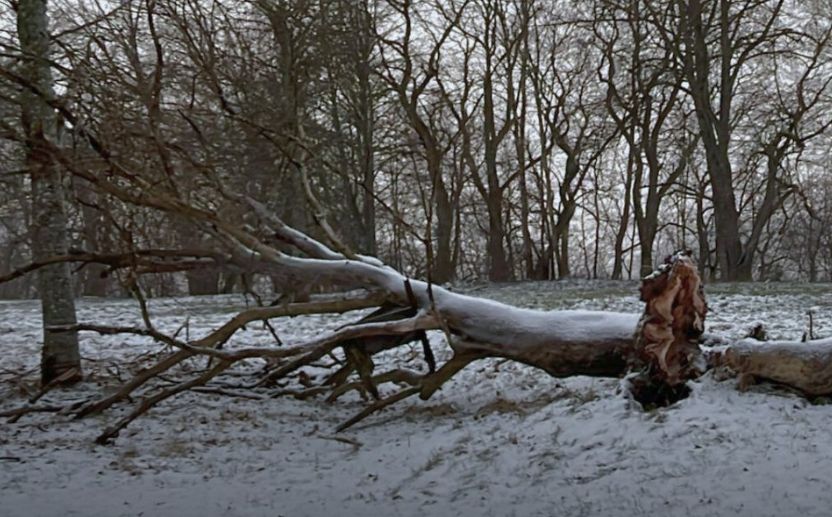 Foto: Dabas aizsardzības pārvalde