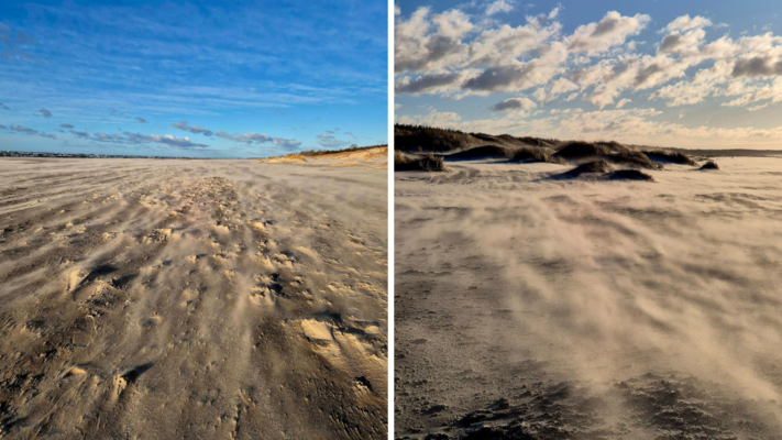 'foto: facebook/ Margarita Bērziņa