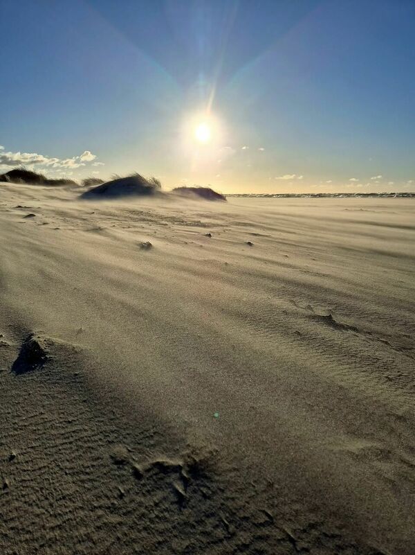 'foto: facebook/ Margarita Bērziņa