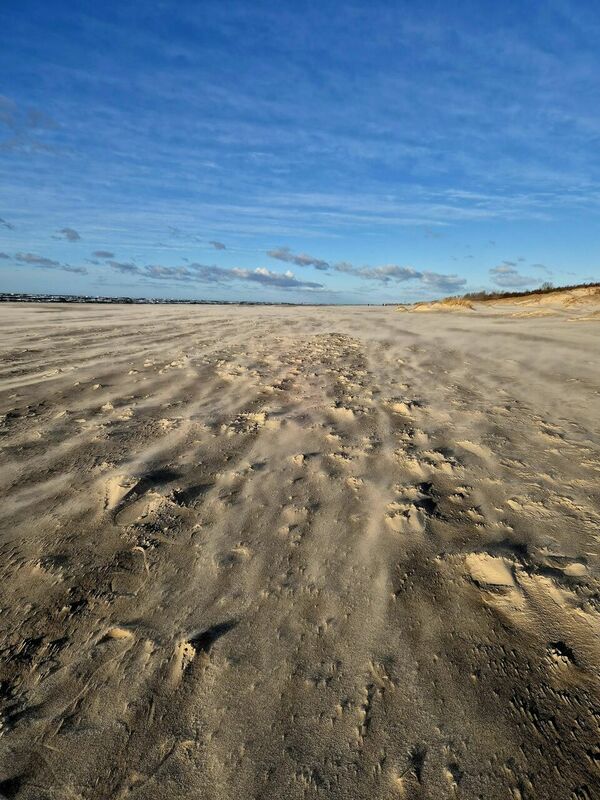 'foto: facebook/ Margarita Bērziņa