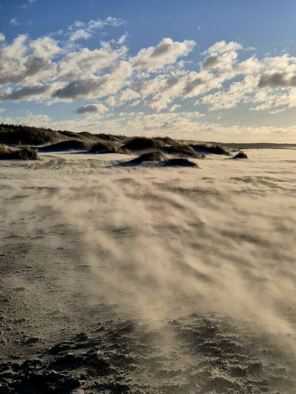 'foto: facebook/ Margarita Bērziņa