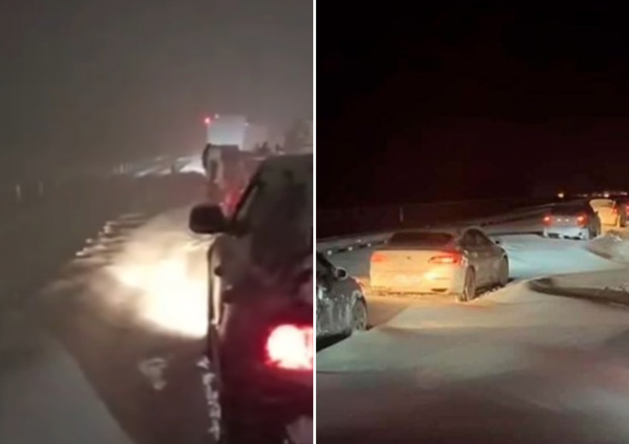 vitrina.warszawa/Instagram 