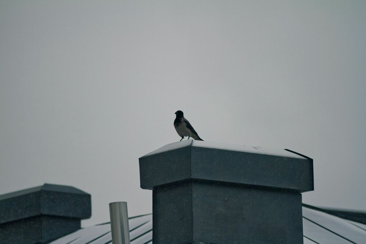 Foto: Unsplash