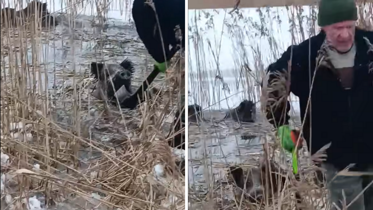 Foto: Ekrānuzņēmums no Facebook