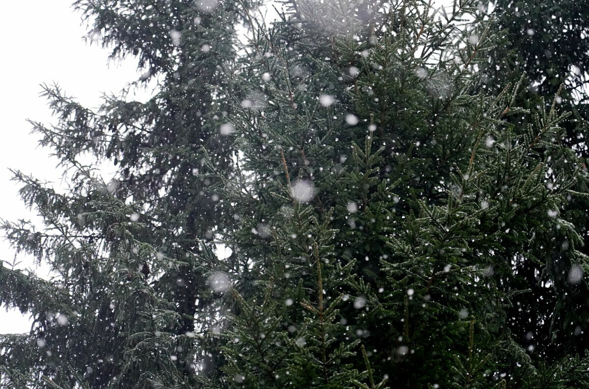 Foto: Zane Bitere/LETA