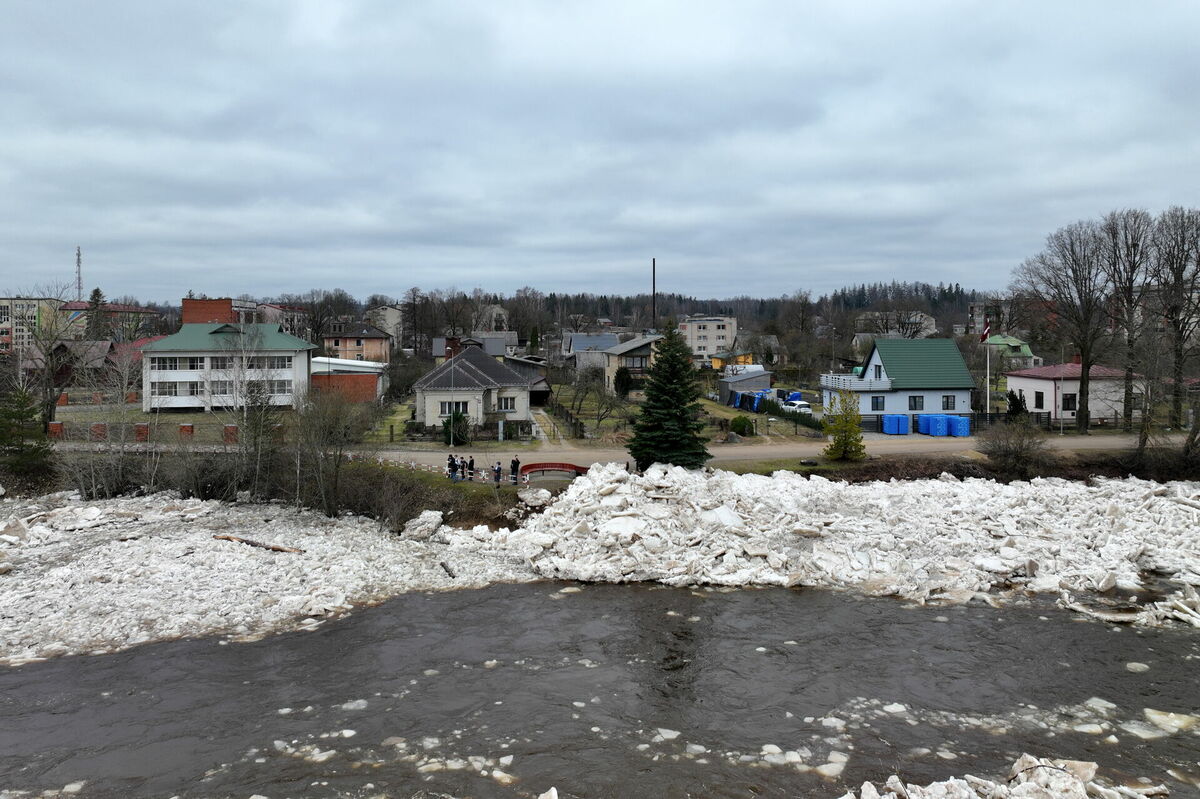 Vižņi Daugavā pie Pļaviņām 2024. gadā. Foto: LETA