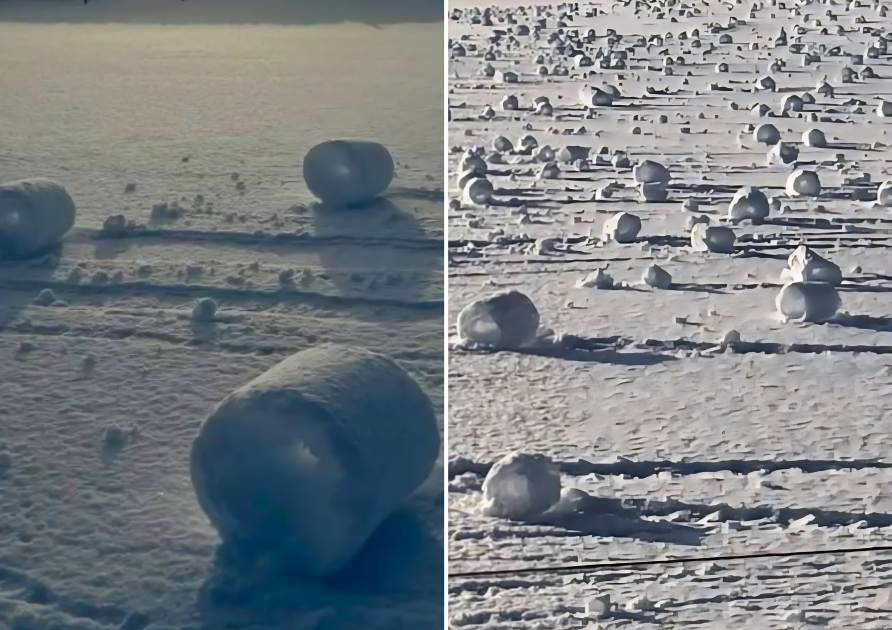 bbcscotnews/Instagram