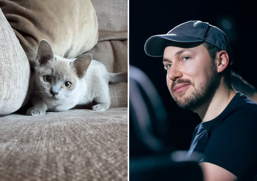 gzilbalodis/Instagram 