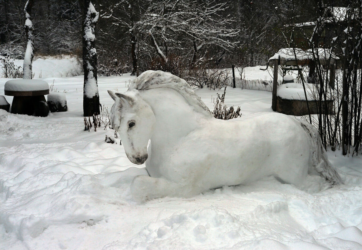 Sniega zirgs. Foto: "Dzirkstele"/GATIS BOGDANOVS