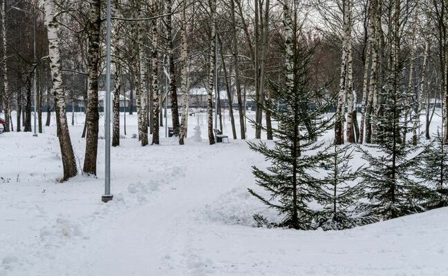 Foto: Daugavpils valstspilsētas pašvaldība