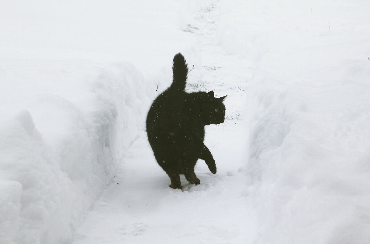 Foto: Evija Trifanova/LETA