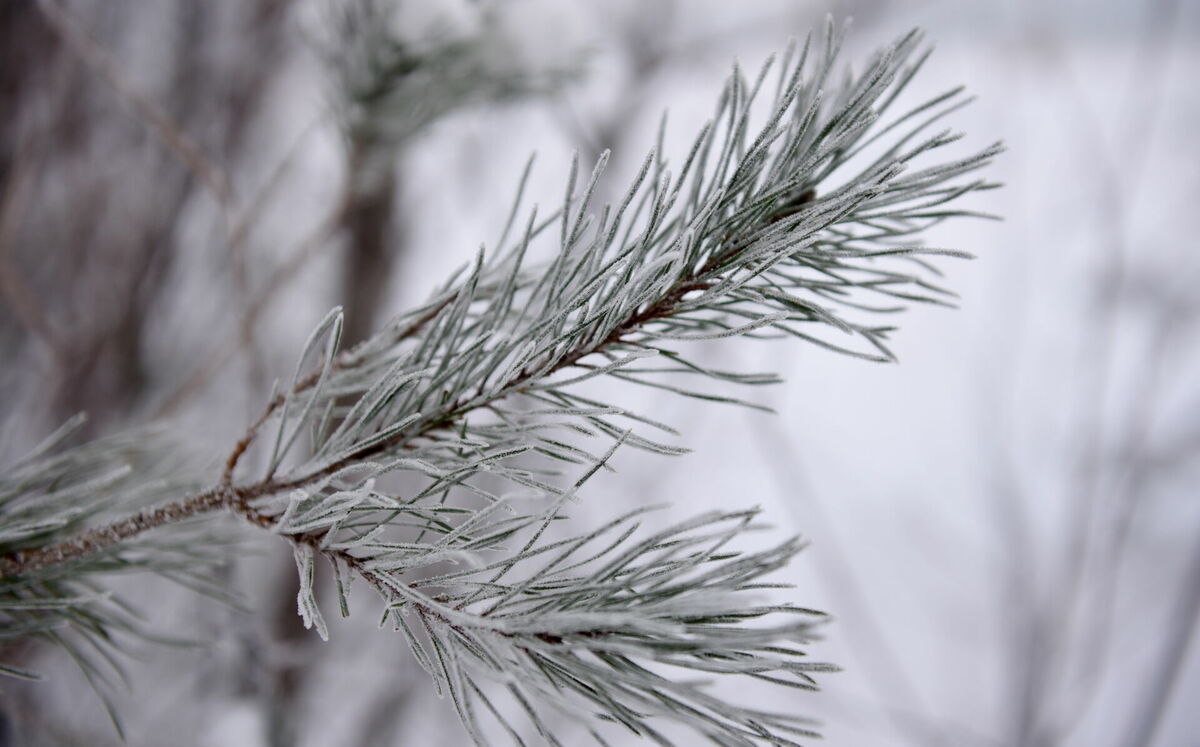 Foto: Zane Bitere/LETA