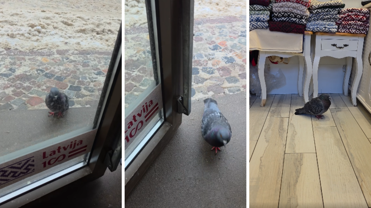 Foto: Facebook/EKO Suvenīrs