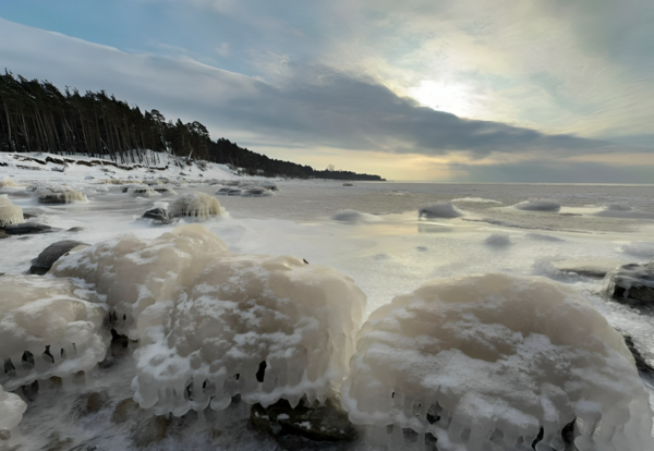 Maija Druva/Facebook