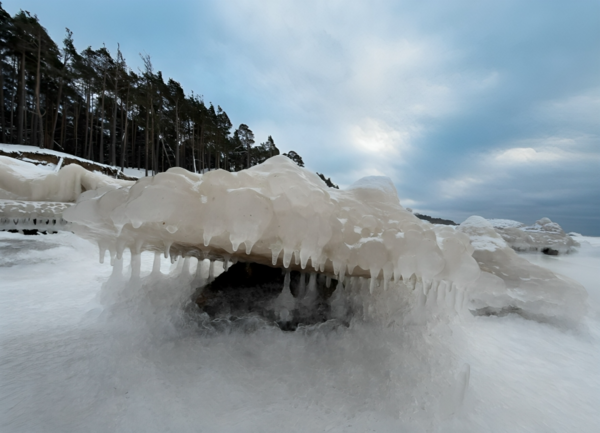 Maija Druva/Facebook