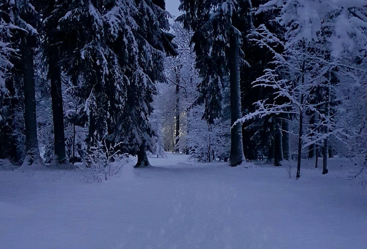 Mālpils. Foto: Henrijs Hablovs/Unsplash