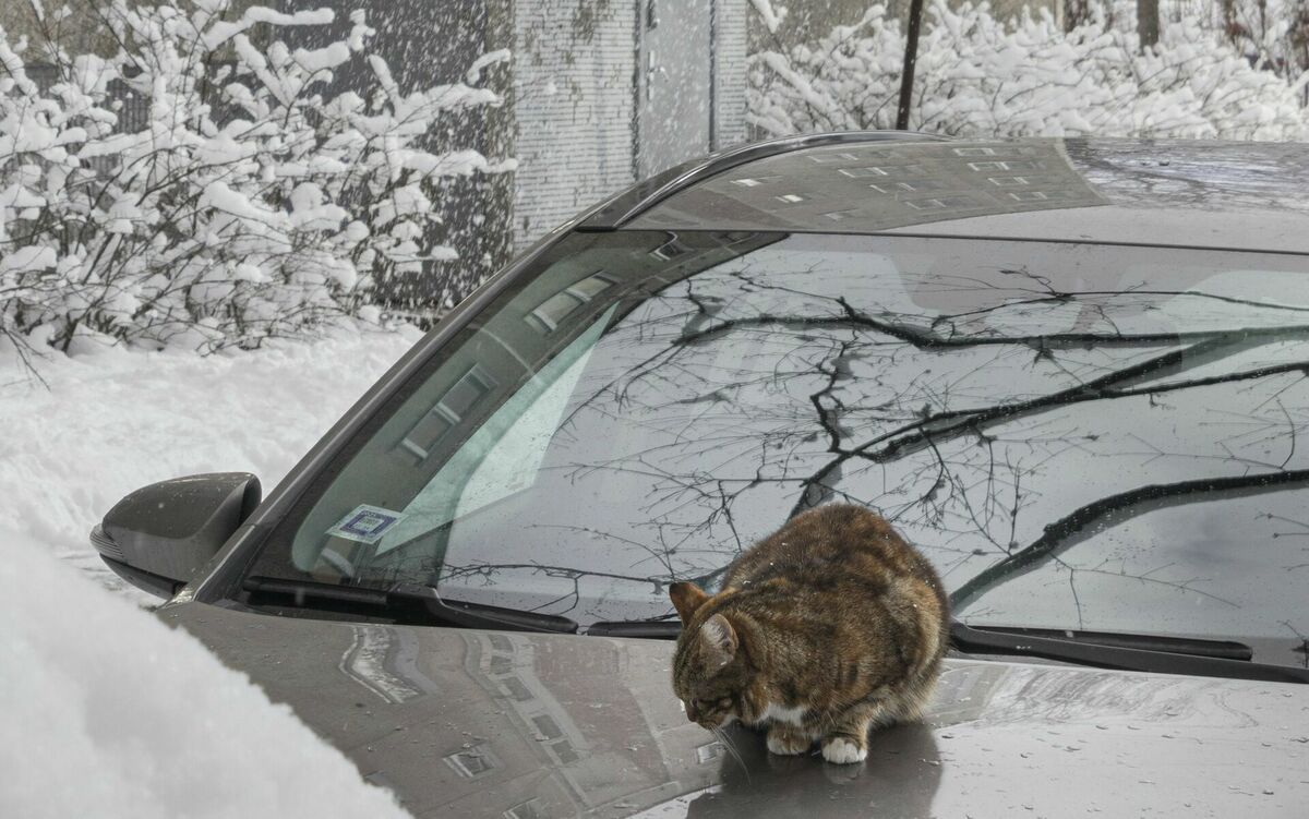 Foto: Anna Ozola/Unsplash