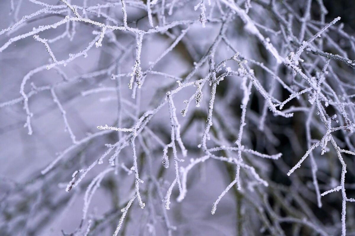 Ziemas ainava. Foto: Ieva Leiniša/LETA