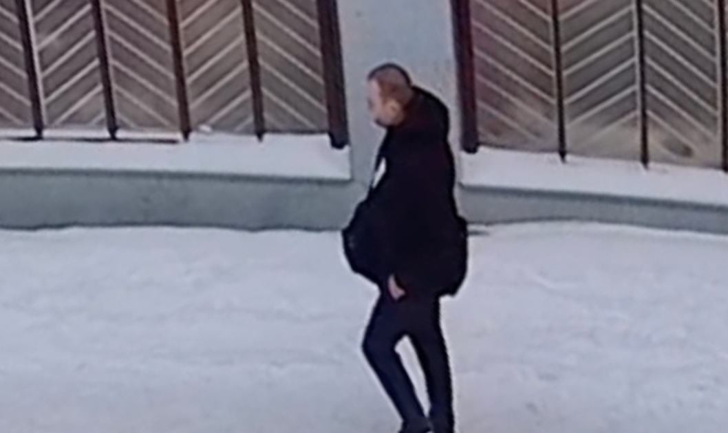 Vīrietis, kurš ielauzās bērnudārzā un vēlāk uzbruka sievietei Tallinā. Foto: Igaunijas policija