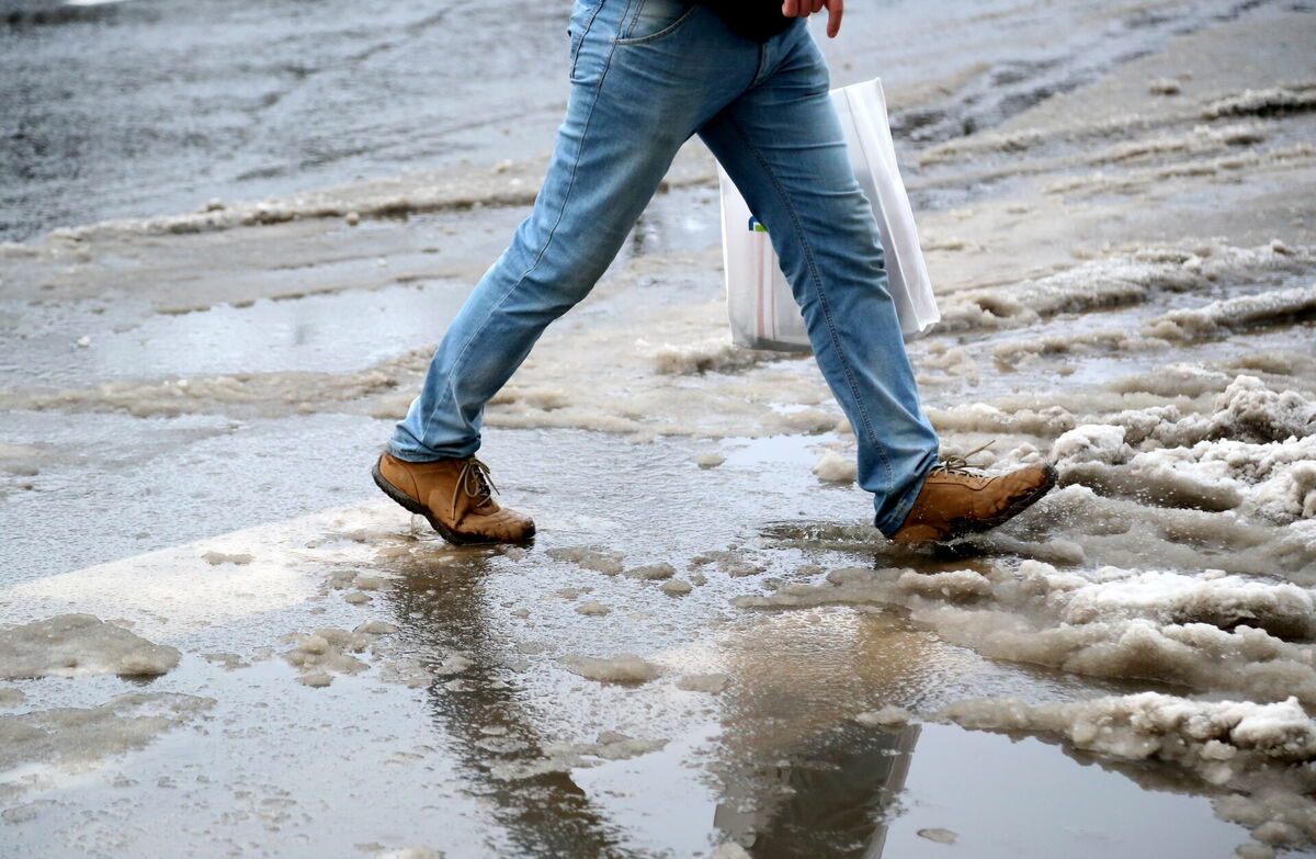 Foto: Edijs Pālens/LETA