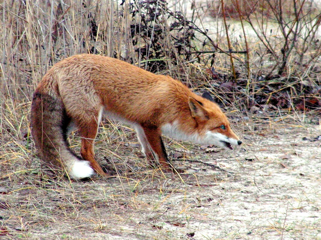 Foto: Mārtiņš Kalaus/LETA