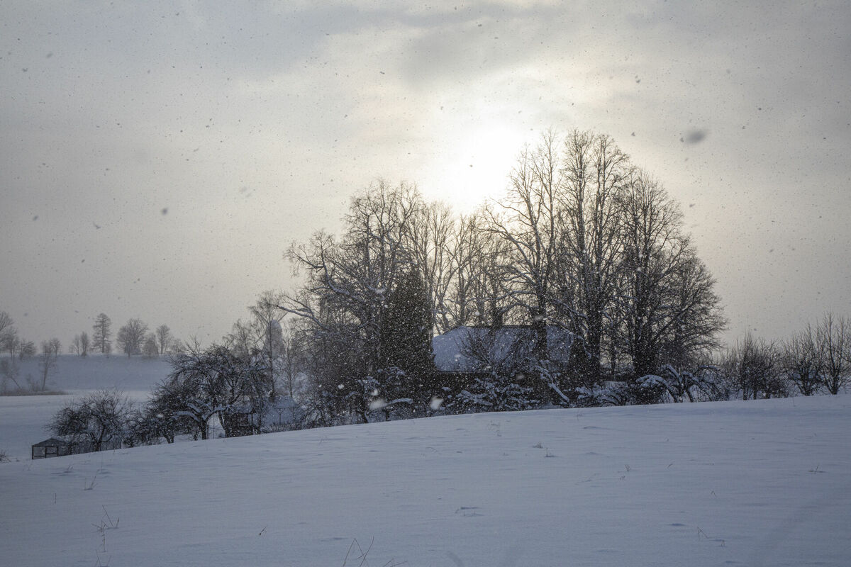 Foto: Edijs Pālens/LETA