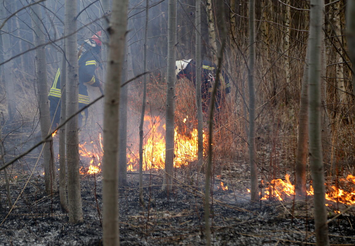 Foto: Evija Trifanova/LETA