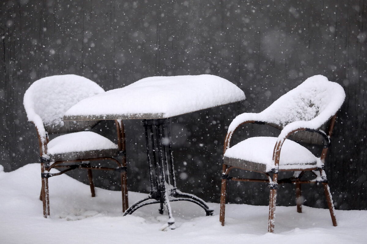 Foto: Paula Čurkste/LETA