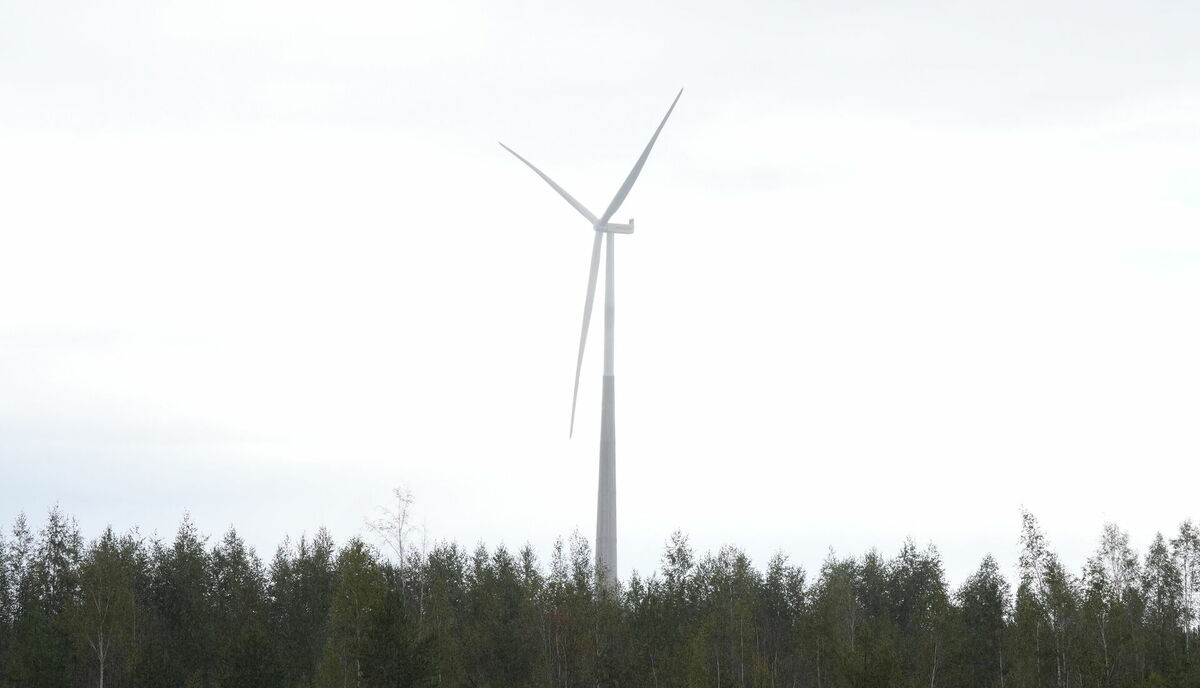Vēja ģenerators. Foto: LETA