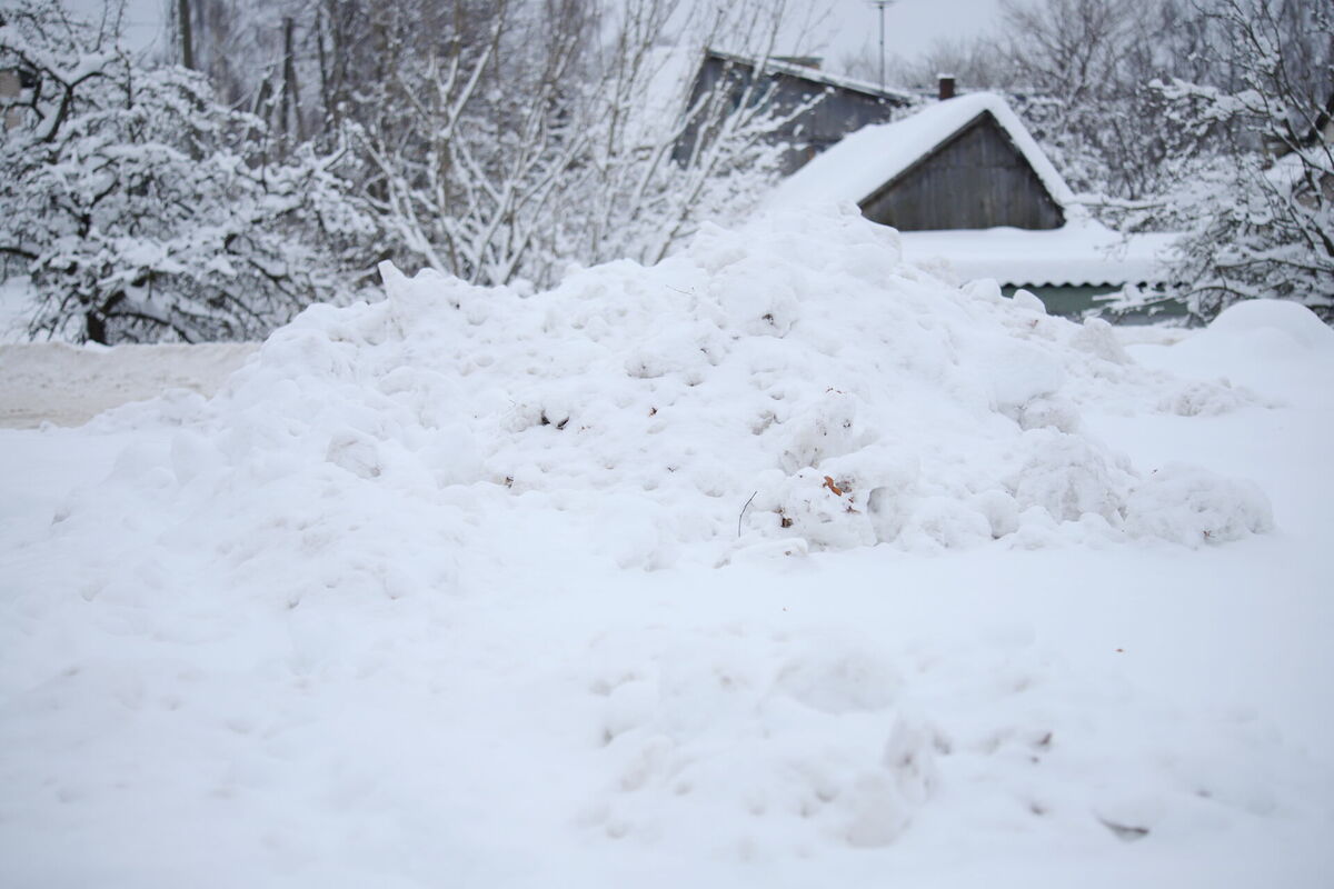 Sniega kupenas. Foto: LETA