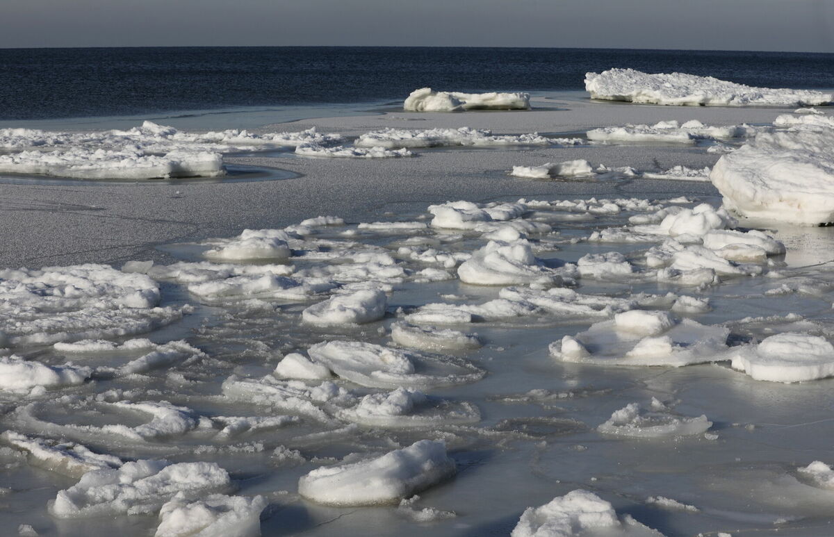 Carnikavas pludmale ziemā. Foto: LETA