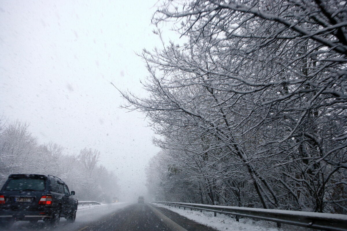 Foto: Agnese Gulbe/LETA