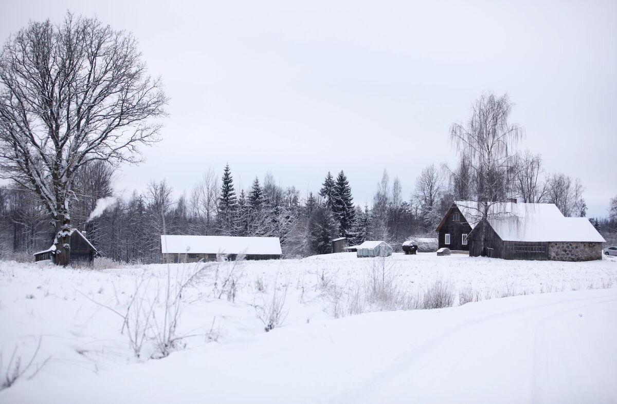 Foto: Sintija Zandersone/LETA