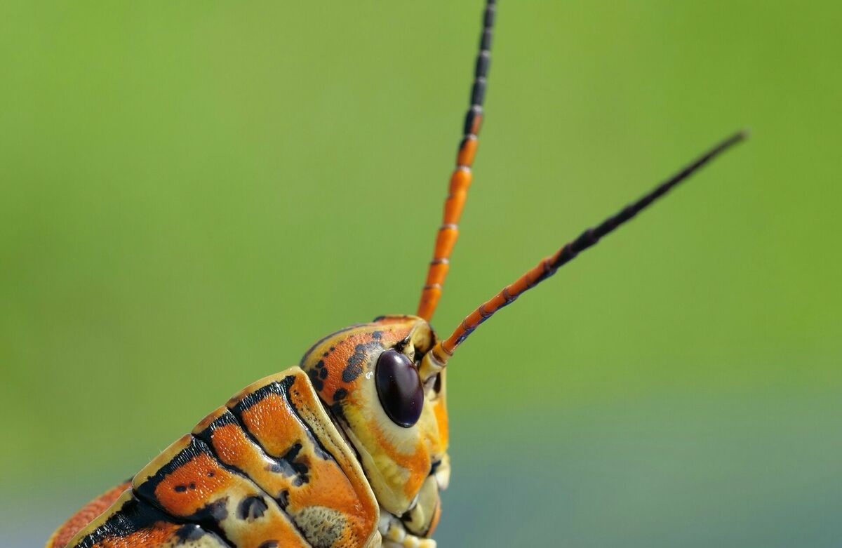 Ilustratīvs attēls. Foto: Unsplash