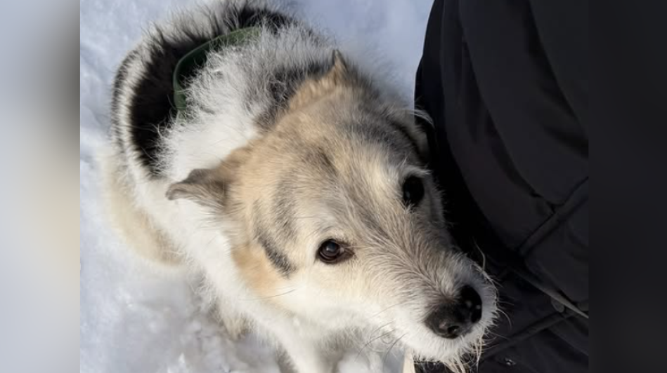 Foto: Instagram /@patrishamusic