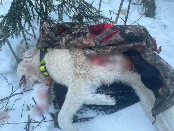 Foto: Aculiecinieka foto/Medibam.lv