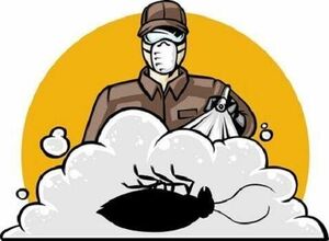 "LAT ČIEK" SIA, deratizācija, dezinsekcija, dezinfekcija Jūrmalā