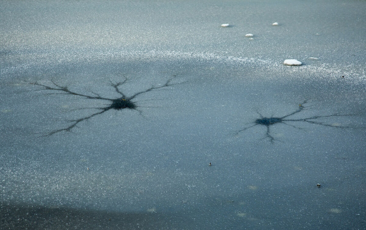 Aizsalis dīķis Viesturdārzā. Foto: LETA