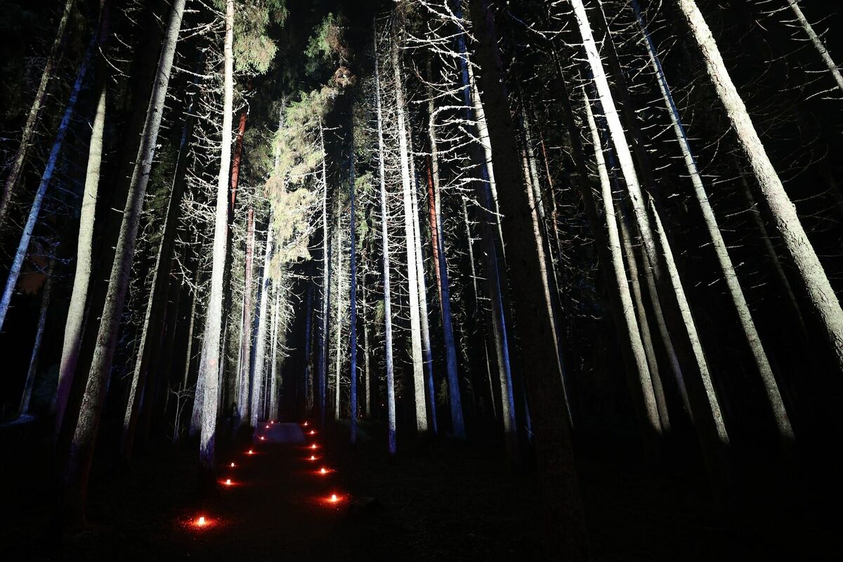 Foto: Līgatnes Dabas Takas