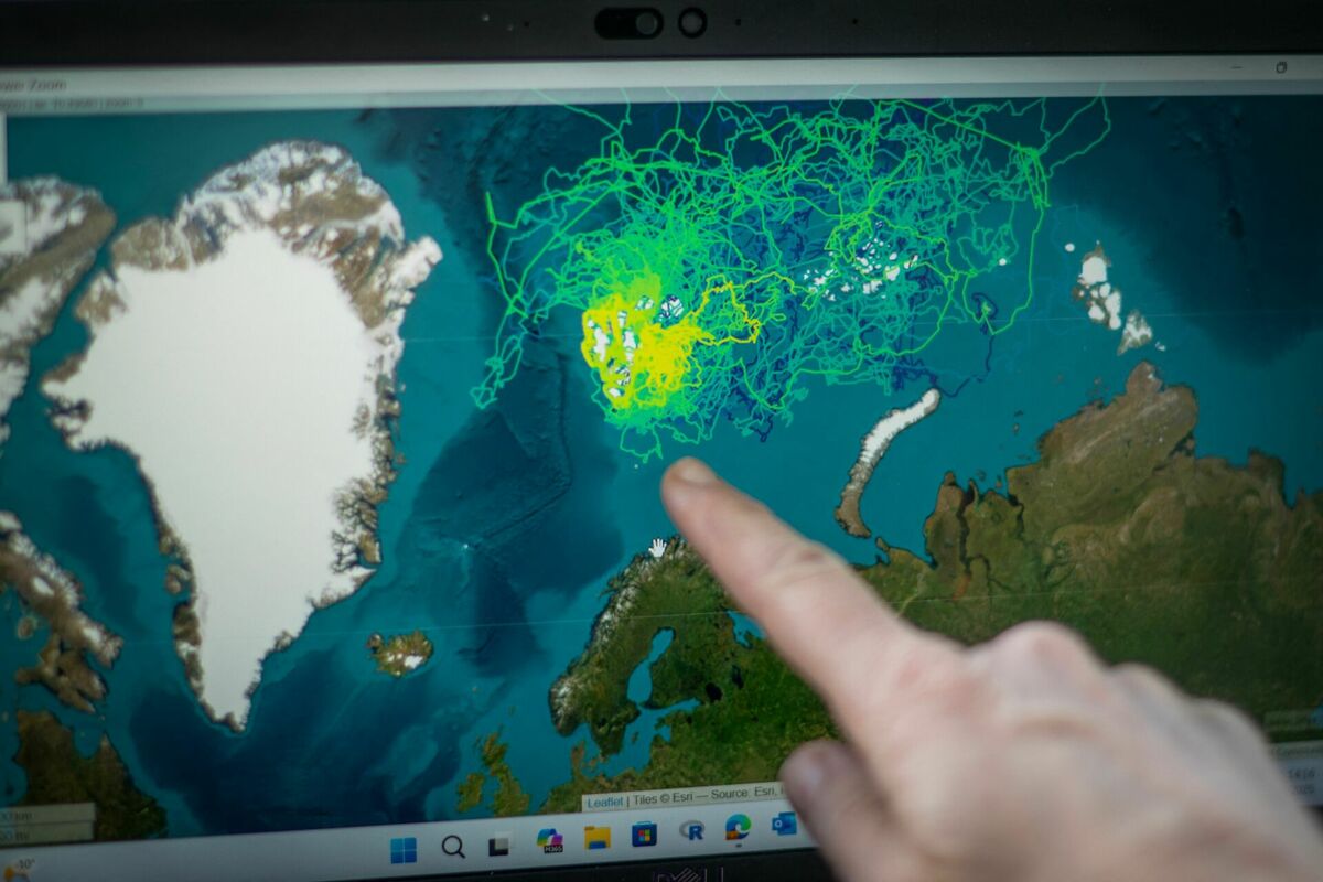 Foto: Olivier MORIN / AFP / Scanpix