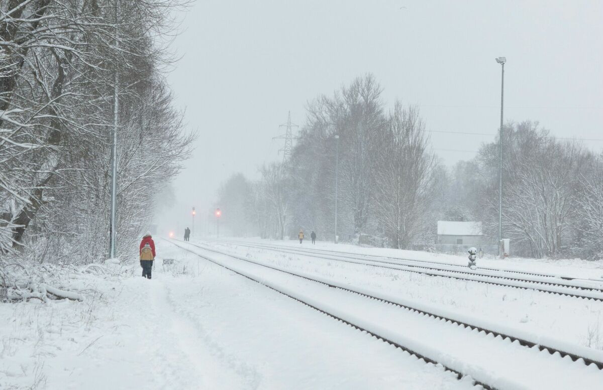 Foto: Anna Ozola/Unsplash